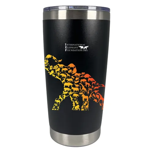 IEF 20oz Vacuum Insulated Tumbler