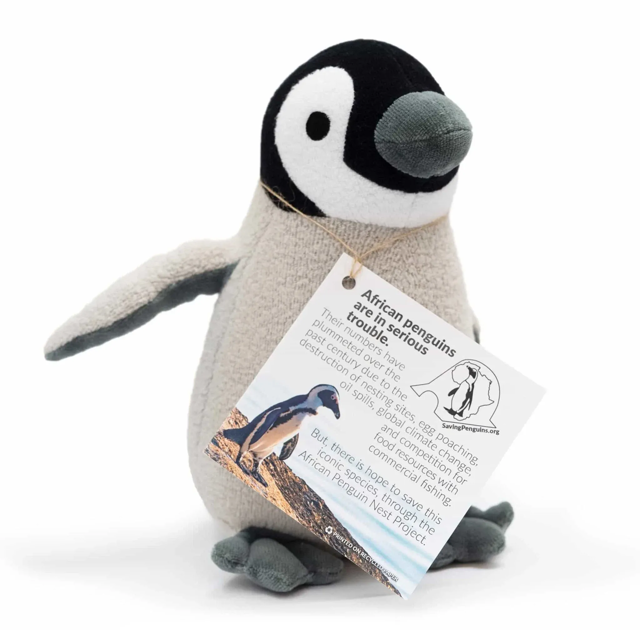 Adult Penguin Plush - Saving Penguins!